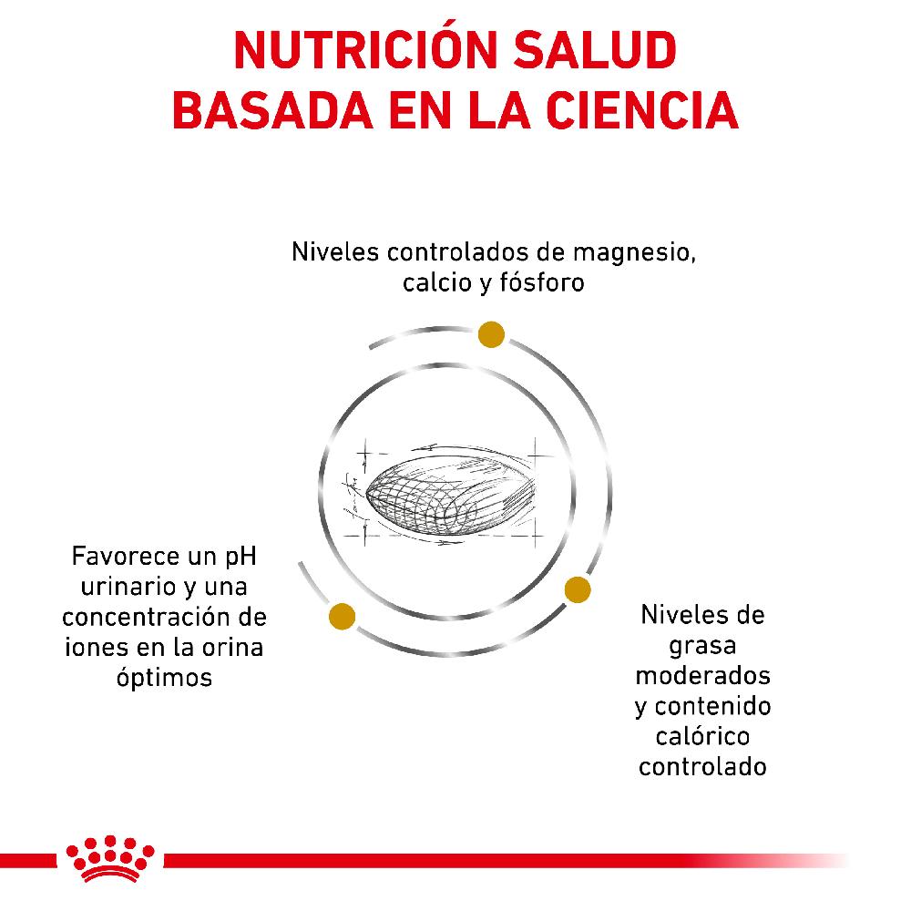 Miscota Royal Canin Cibo Secco per Cani Urinare S/O Moderate Calorie Canine Super sconto