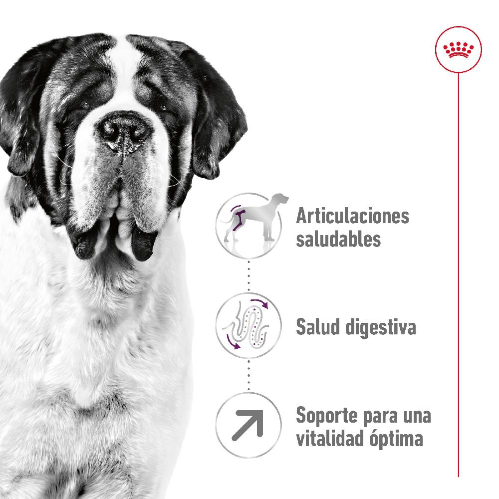Miscota Royal Canin Cibo Secco per Cani Giant Adult Enormi sconti
