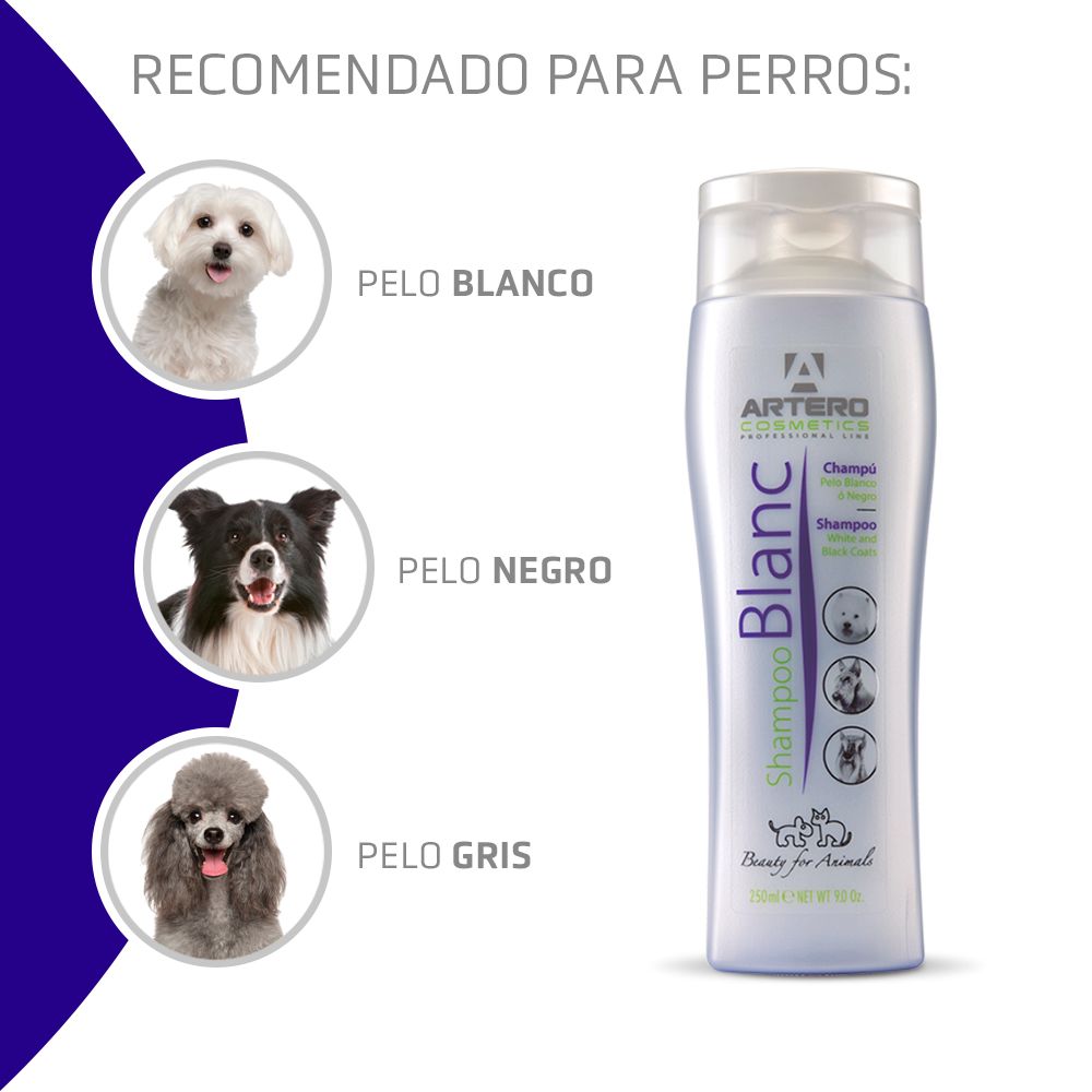 Miscota Artero Shampoo Blanc 50% di sconto con spedizione gratuita