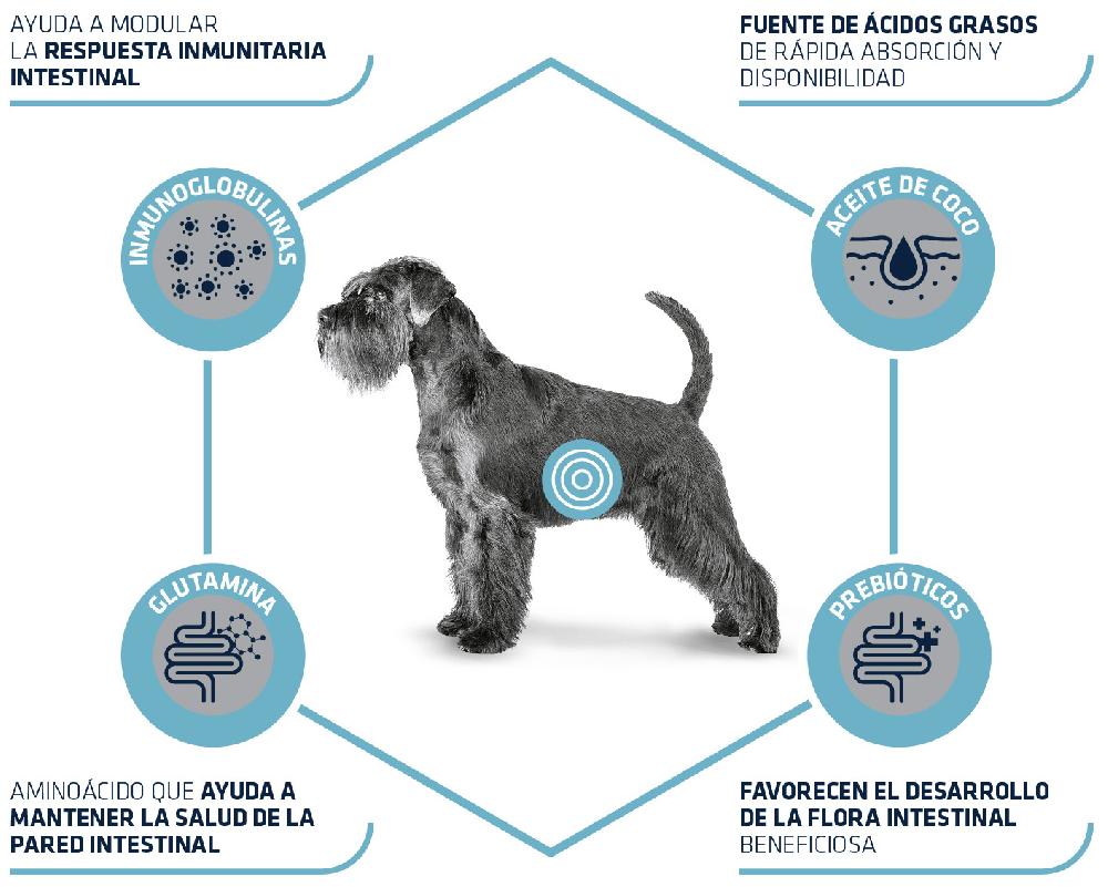 Miscota Advance Cibo Secco Veterinare Diet Gastroenteric Low Fat per Cani 50% di sconto per tempo limitato