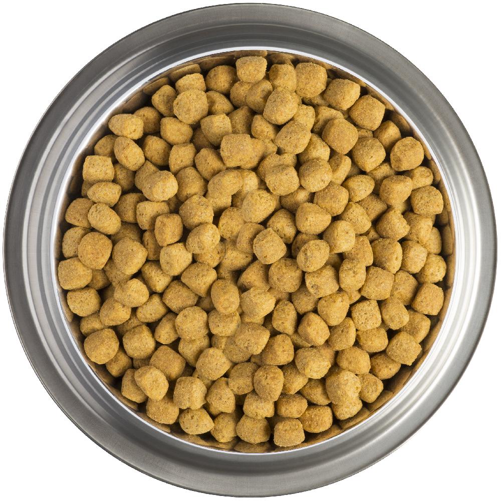 Miscota Pro Plan Veterinary Diets EN Gastrointestinal Italia