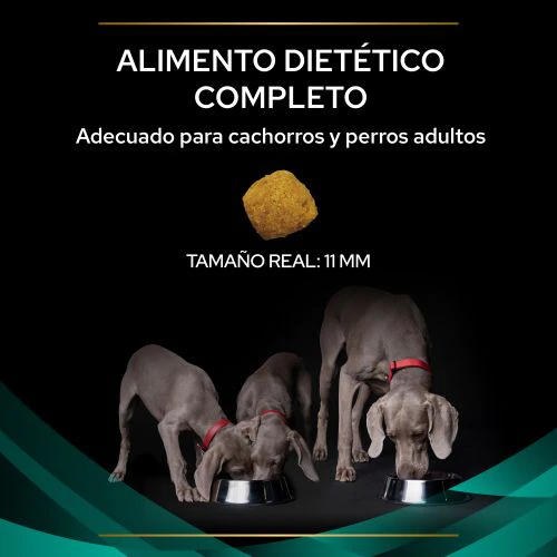 Miscota Pro Plan Veterinary Diets EN Gastrointestinal Italia