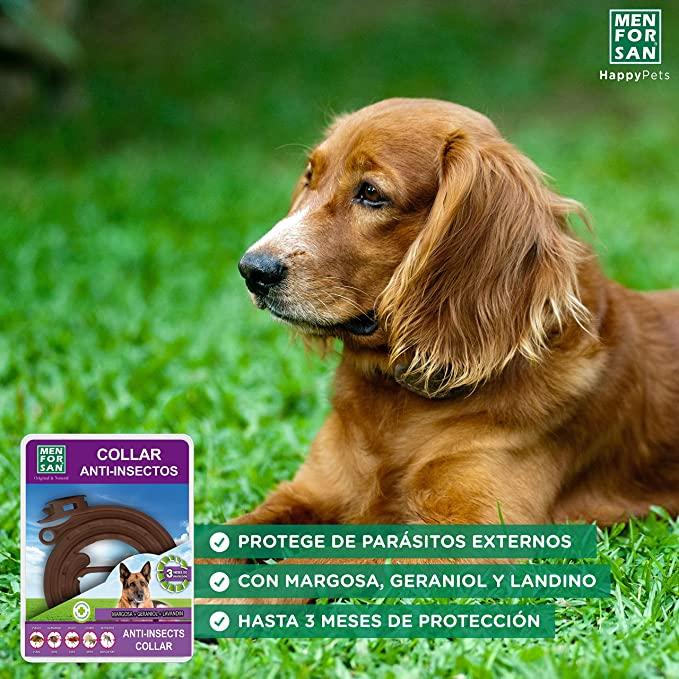 Miscota Men For San Collare Repellente Naturale Vendita