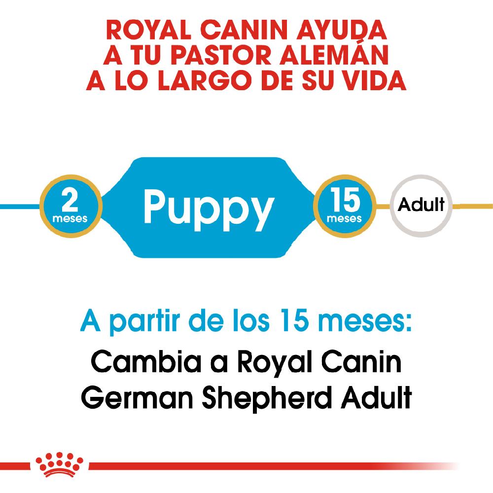 Miscota Royal Canin Cibo Secco per Cani Pastore Tedesco Junior Convenienza