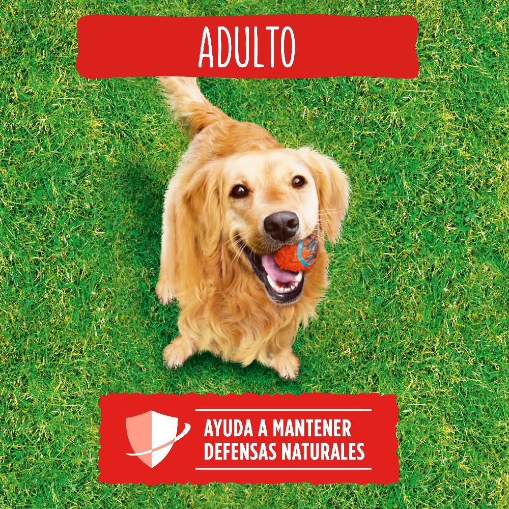 Miscota Purina Friskies Cibo Secco per Cani Adult di Carne e Ortaggi Sconto