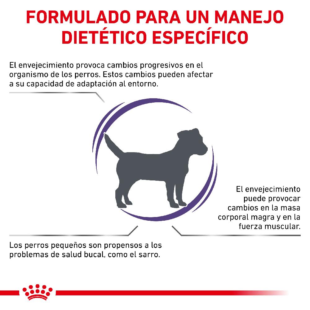 Miscota Royal Canin Cibo Secco per Cani Senior Consult Mature Small Dog Offerta