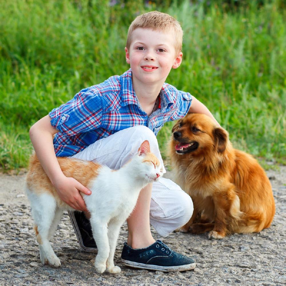 Miscota JTPharma Vitamina C Per Cani Gatti Ed Esotici Vendita Economica