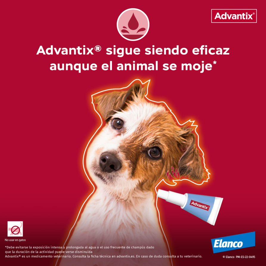 Miscota Advantix Pipetta Taglia Media 10-25 Kg Moda
