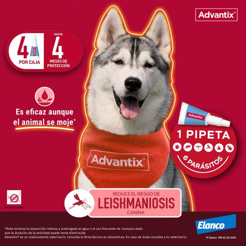 Miscota Advantix Pipetta Taglia Media 10-25 Kg Moda