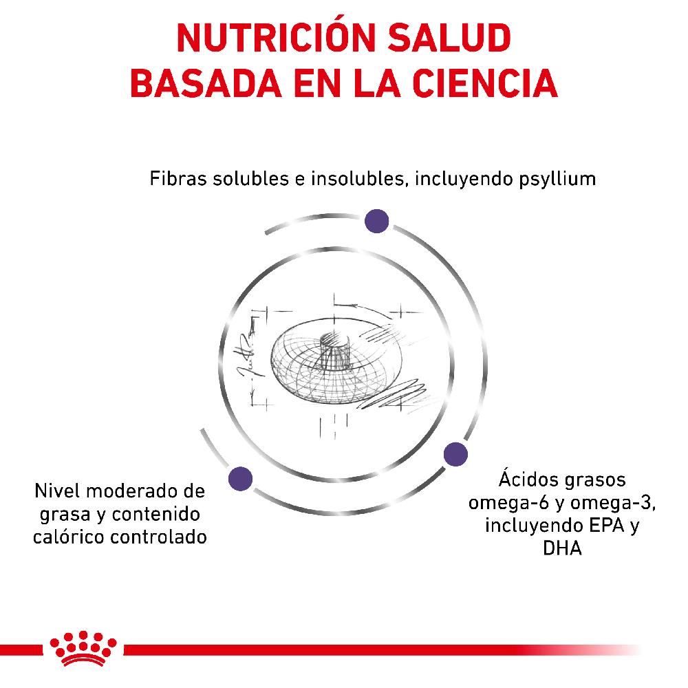 Miscota Royal Canin Cibo Secco per Cani Neutered Adult Medium Dog Spedizione gratuita