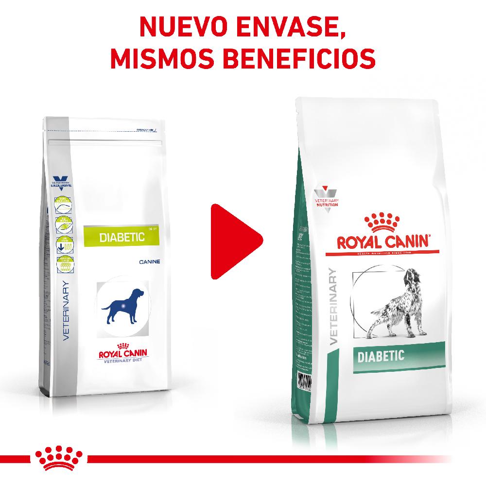 Miscota Royal Canin Cibo Secco per Cani Diabetic Sconto di tempo limitato