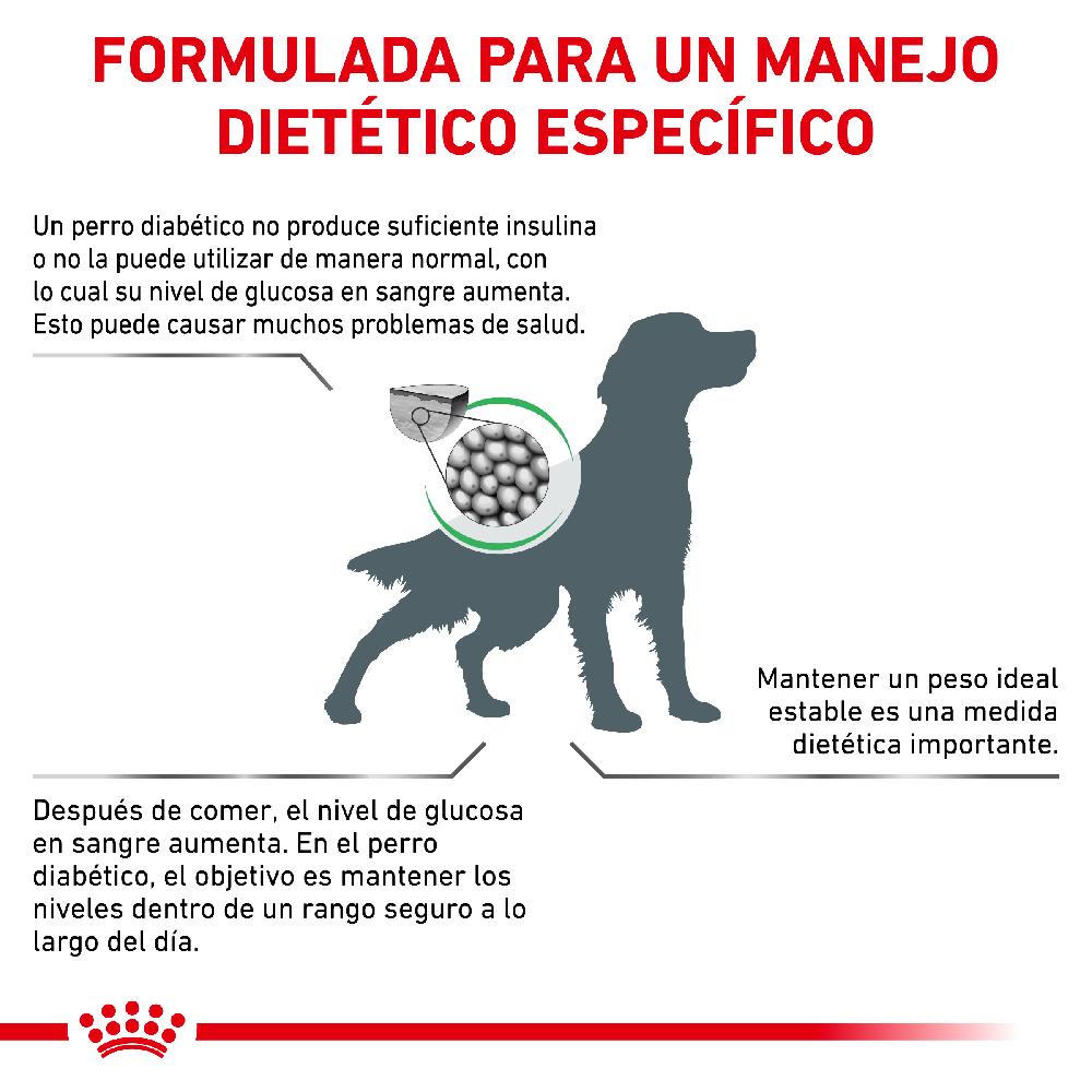 Miscota Royal Canin Cibo Secco per Cani Diabetic Sconto di tempo limitato