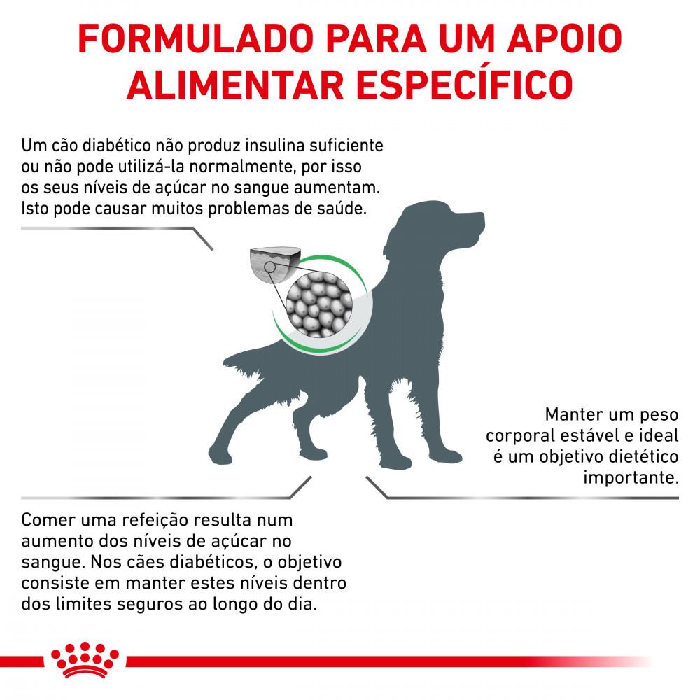 Miscota Royal Canin Cibo Secco per Cani Diabetic Sconto di tempo limitato