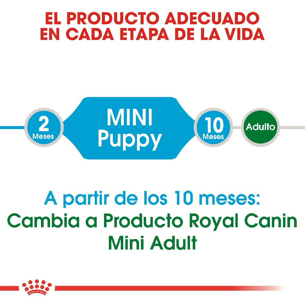 Miscota Royal Canin Mini Puppy Cibo per Cuccioli di Razza Negozio online di fabbrica
