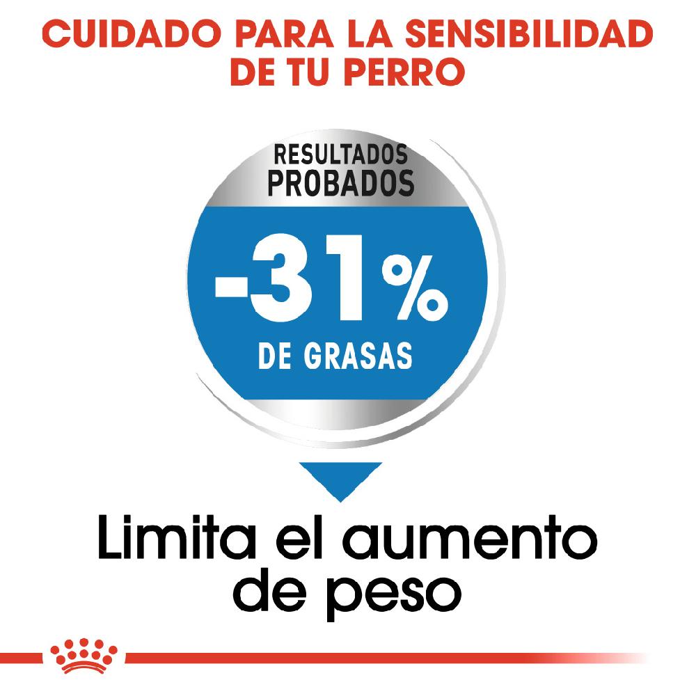 Miscota Royal Canin Mini Light Weight Care controllo del peso degli adulti Taglia piccola Offerta speciale