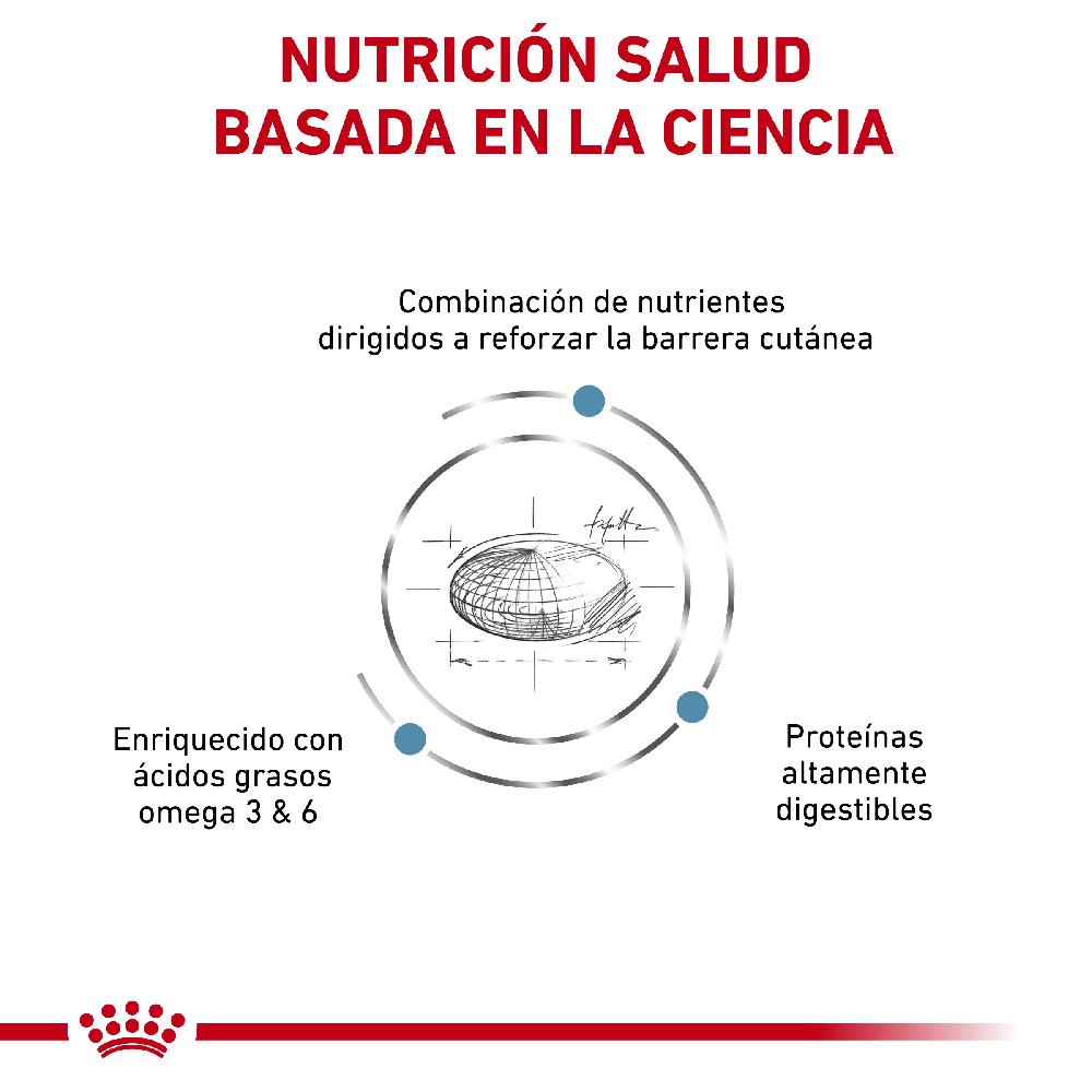Miscota Royal Canin Cibo Secco per Cani Skin Care Canine Adult Comprare a buon mercato