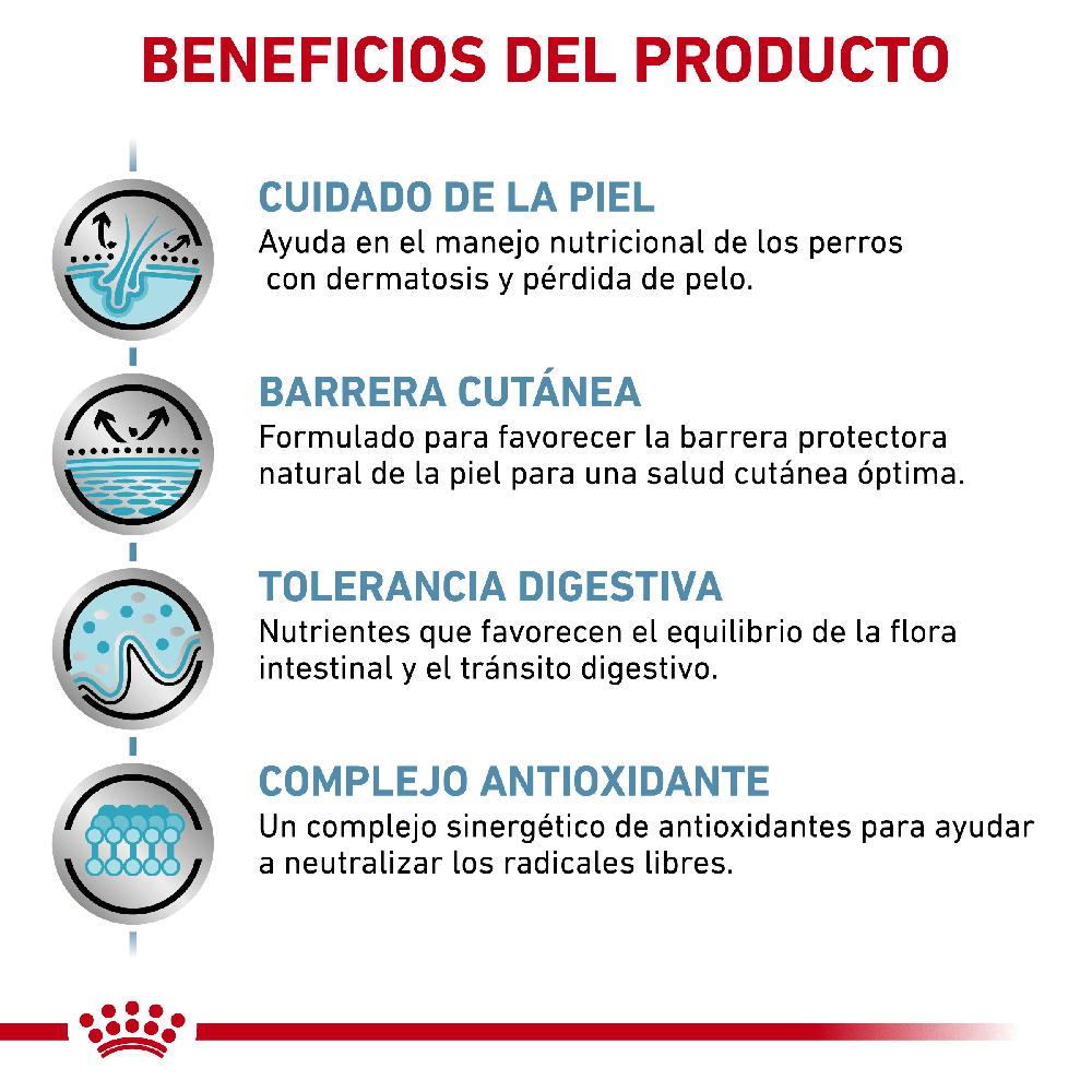 Miscota Royal Canin Cibo Secco per Cani Skin Care Canine Adult Comprare a buon mercato