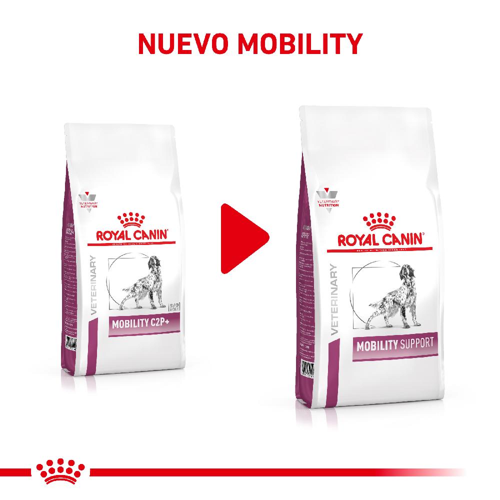 Miscota Royal Canin Cibo Secco per Cani Mobilite C2p+ Canine Grande vendita