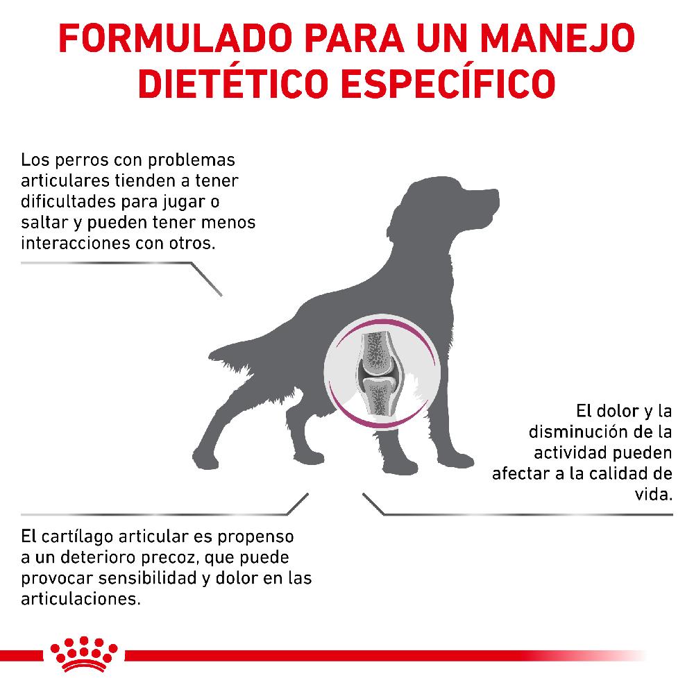 Miscota Royal Canin Cibo Secco per Cani Mobilite C2p+ Canine Grande vendita