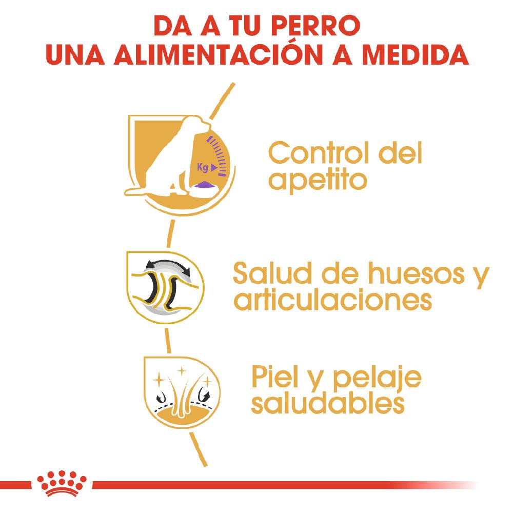 Miscota Royal Canin Labrador Retriever Adult Sterilised Offerta esclusiva