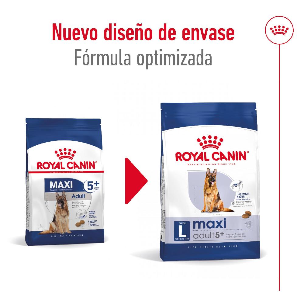 Miscota Royal Canin Cibo Secco per Cani Maxi Adult +5 Offerta natalizia