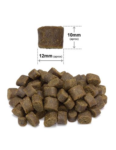 Miscota Arquivet Fresh Ocean Fish Offerte esclusive
