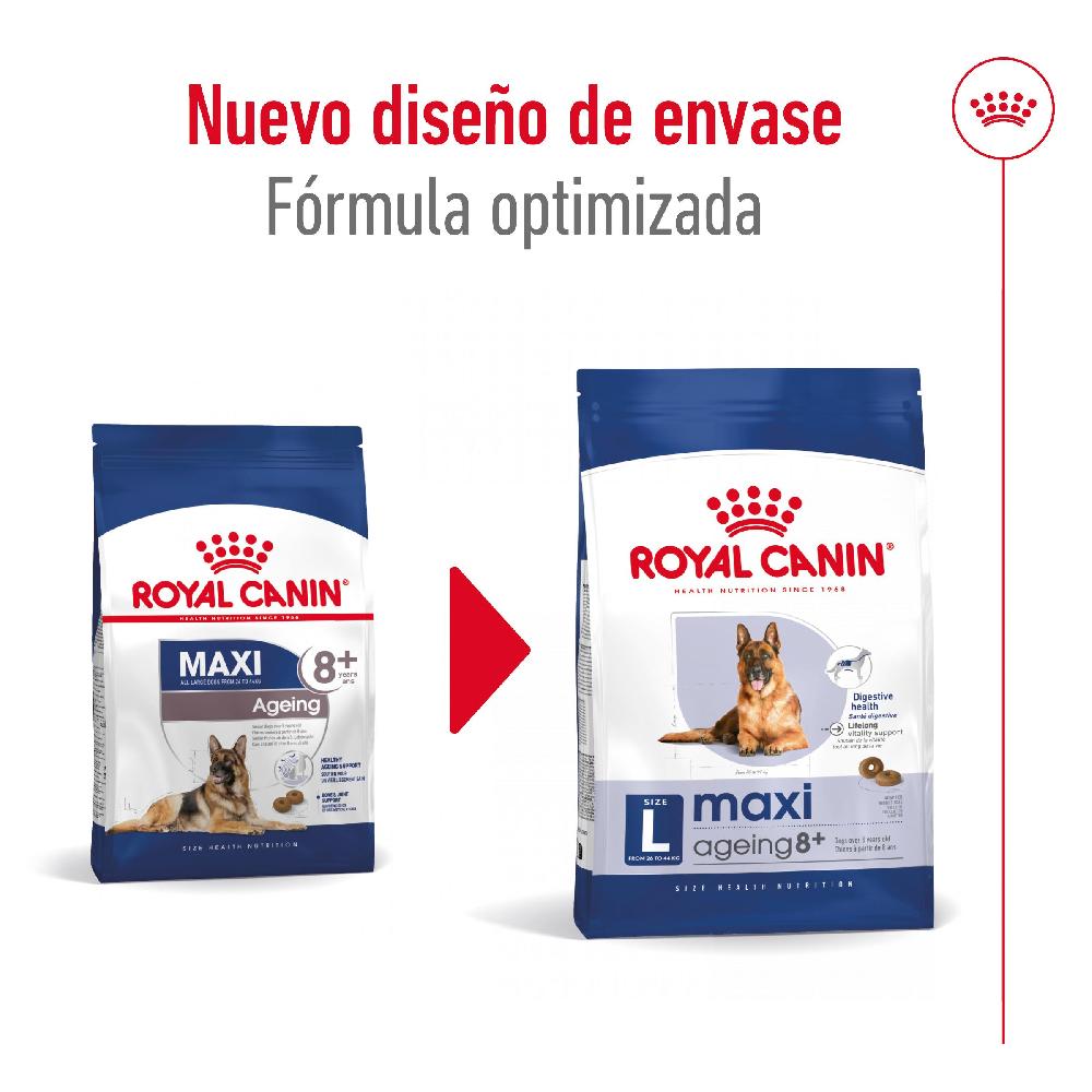 Miscota Royal Canin Maxi Ageing+8 Cibo per cani grandi anziani per cani anziani Super Saving Price