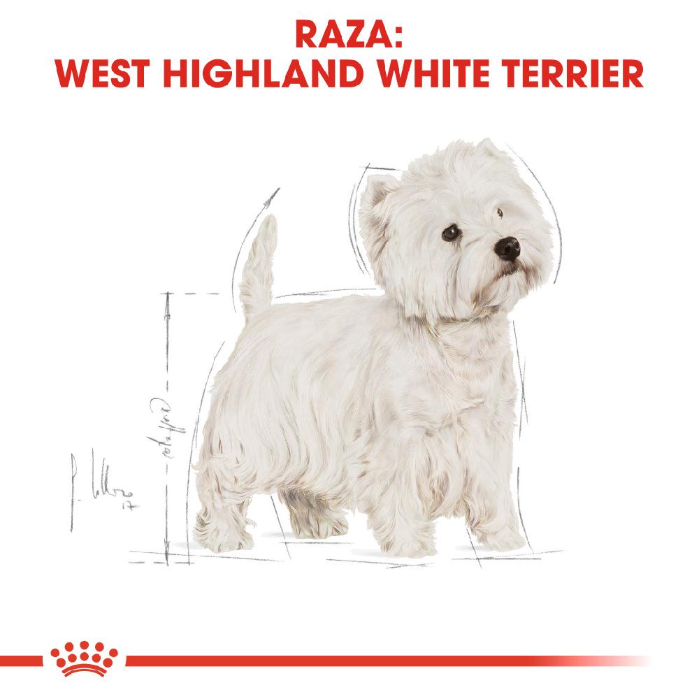 Miscota Royal Canin Cibo Secco per Cani West Highland Terrier Adult Ritorno libero