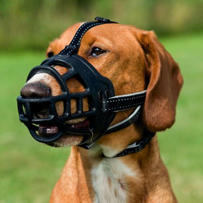 Miscota Trixie Museruola flessibile in silicone per cani Trasporto libero internazionale