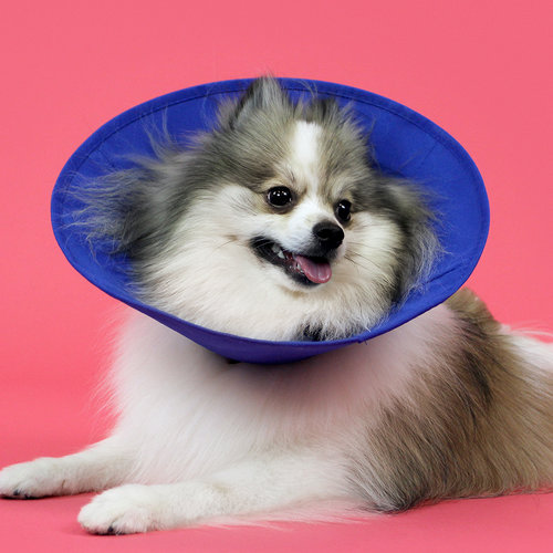 Miscota KVP Ez Soft Elizabethan Collar con Tessuto Limitato a 3 giorni