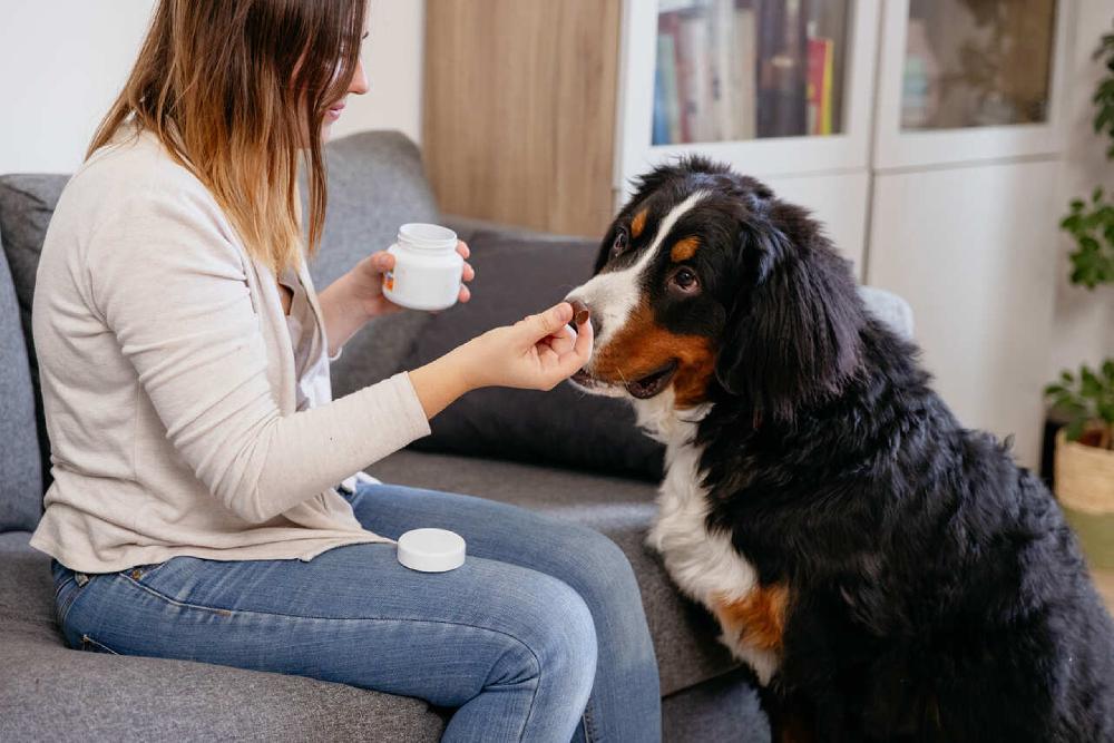 Miscota Virbac Movoflex Morbidi Prodotti da Masticare per Cani Qualità