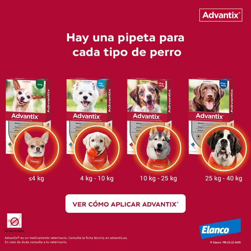 Miscota Advantix Pipetta Piccola Taglia 4-10 Kg Vendita