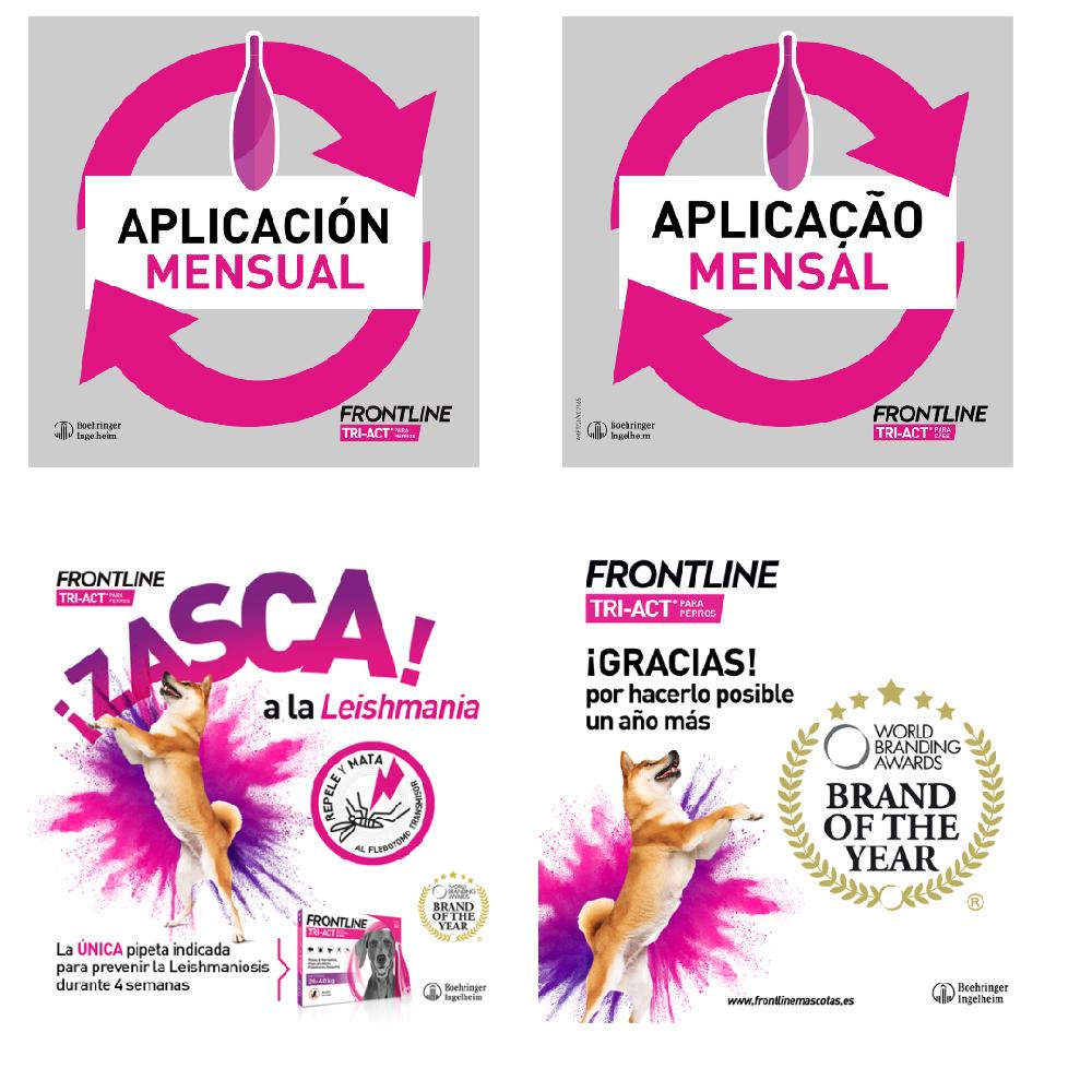 Miscota Frontline Pipette Tri Act per Cani Taglia Gigante 40-60 Kg Spedizione Gratuita