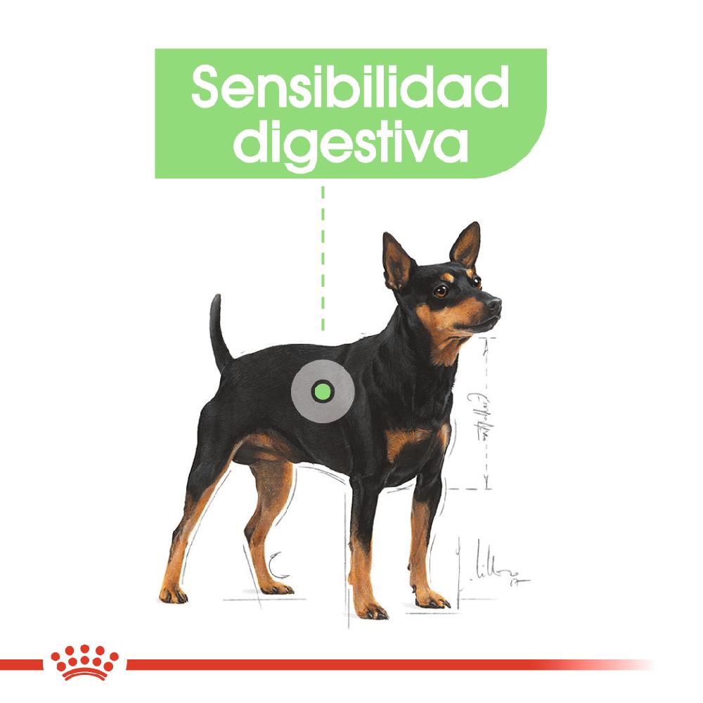 Miscota Royal Canin Mini Digestive Small Adult Digestive Sensitive Dog Qualità Garantita