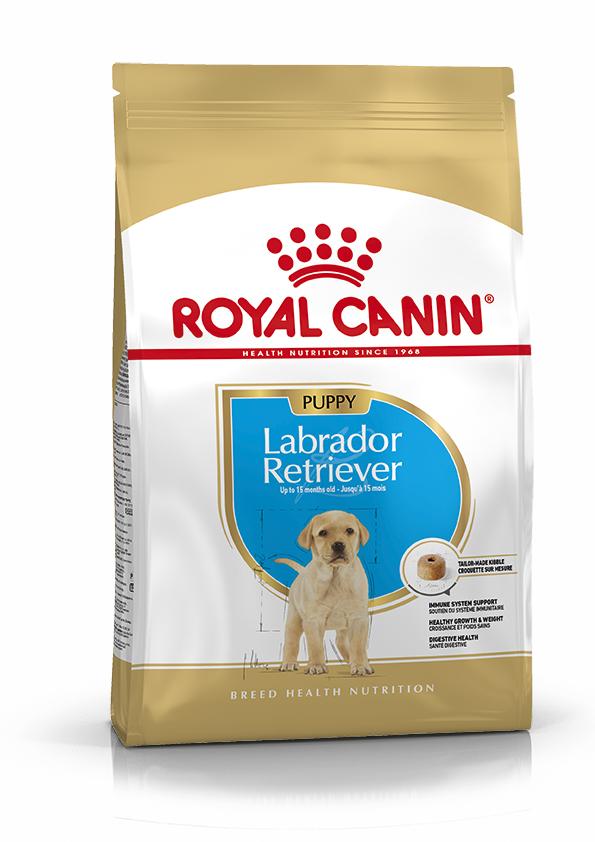 Miscota Royal Canin Cibo Secco per Cani Labrador Retriever Junior Negozi Online