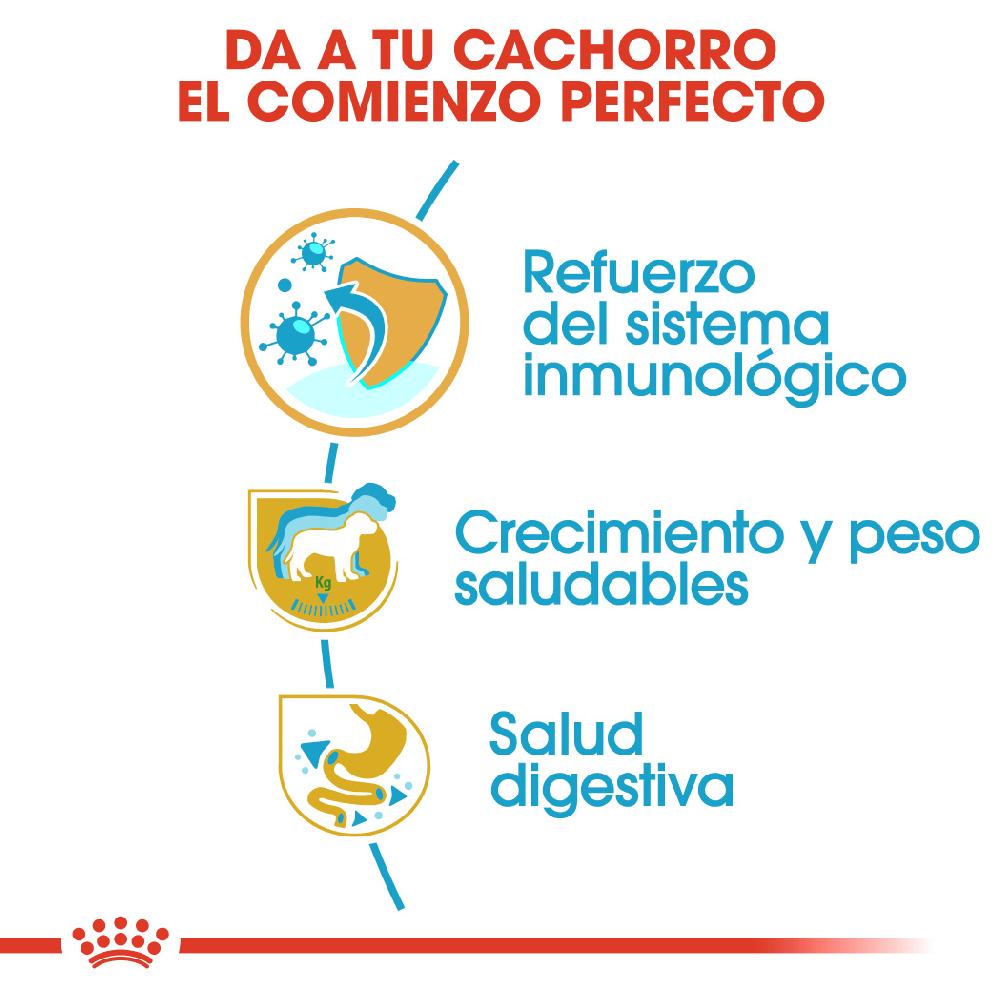 Miscota Royal Canin Cibo Secco per Cani Labrador Retriever Junior Negozi Online