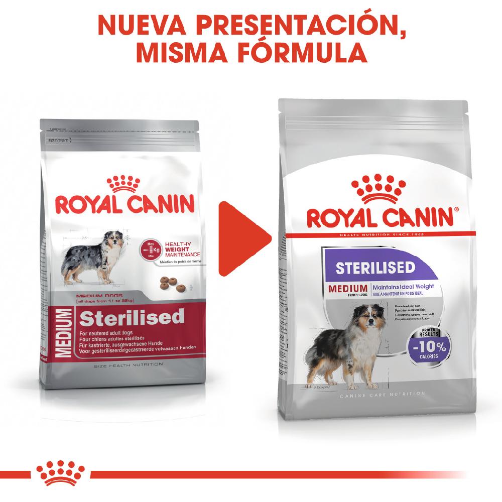 Miscota Royal Canin Medium Sterilised Adult Sterilized Medium Adult Dog Food Promozione Limitata