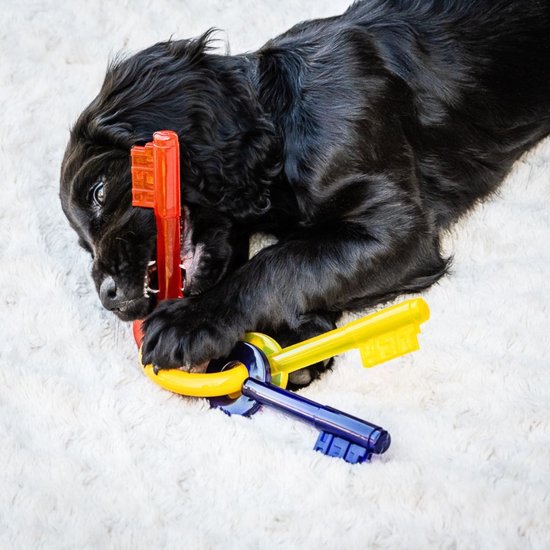 Miscota Nylabone Chiavi per la dentizione Vendita Economica