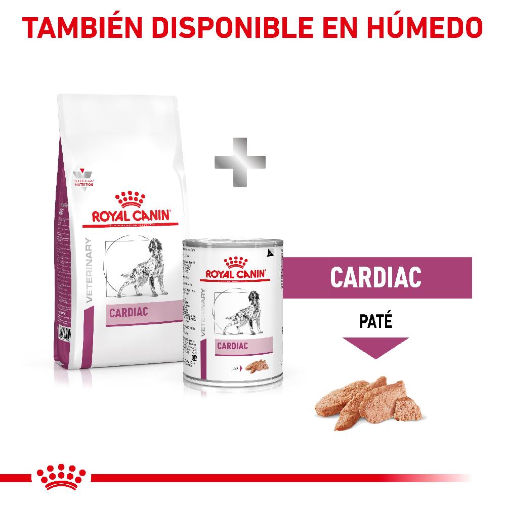 Miscota Royal Canin Cibo Secco per Cani Cardiac Canine Spedizione gratuita