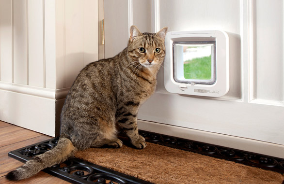 Miscota Sure Petcare SureFlap Porta per Animali Bianco Sconto di tempo limitato