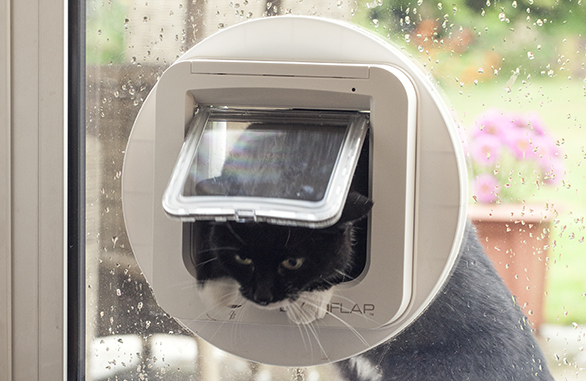 Miscota Sure Petcare SureFlap Porta per Animali Bianco Sconto di tempo limitato