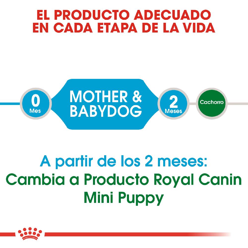 Miscota Royal Canin Cibo Secco per Cani Starter Mini Mother & Babe Dog Offerta Giorno del Papà