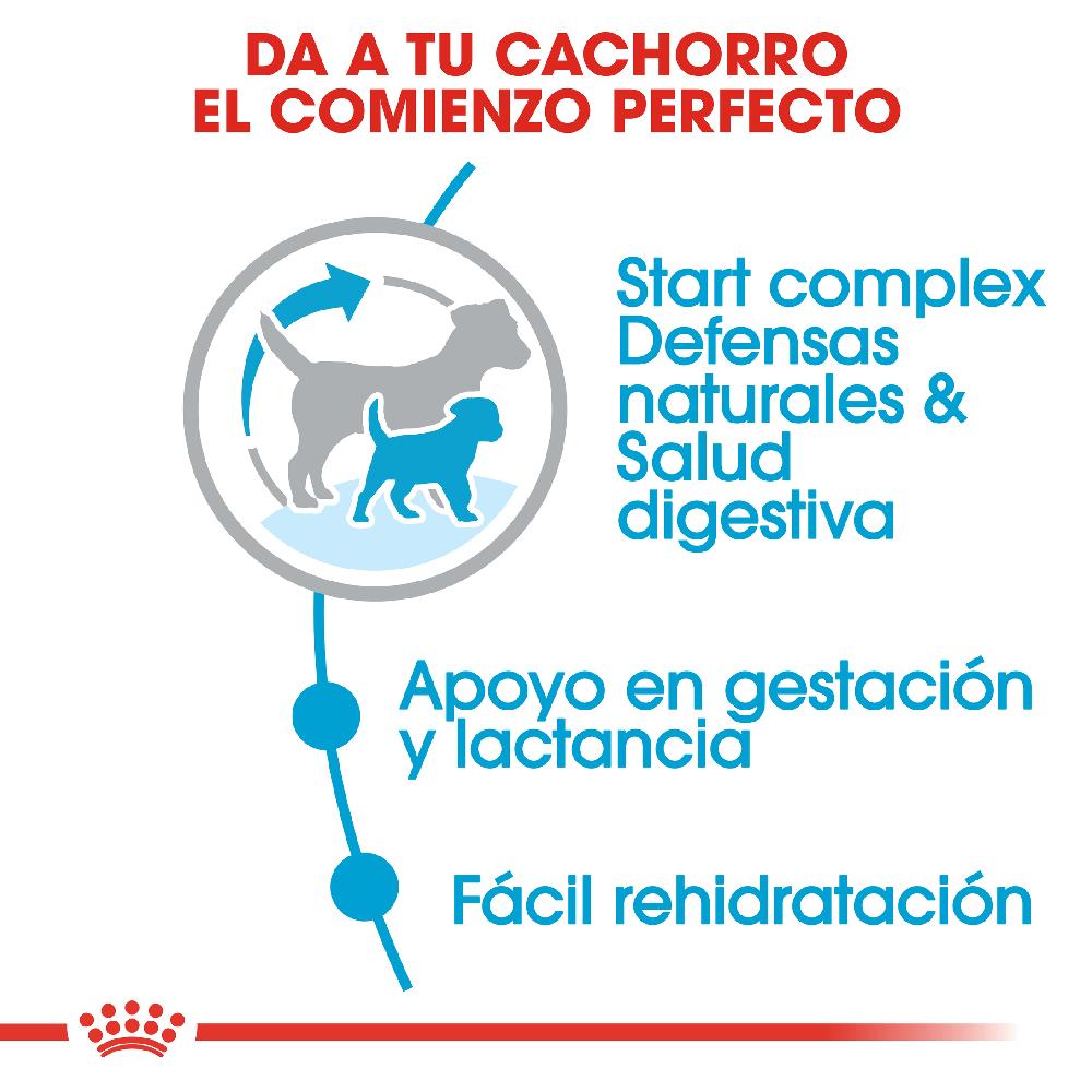 Miscota Royal Canin Cibo Secco per Cani Starter Mini Mother & Babe Dog Offerta Giorno del Papà