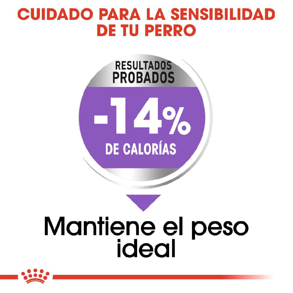 Miscota Royal Canin Maxi Sterilised Sterilised Adult Dog Food Offerta migliore