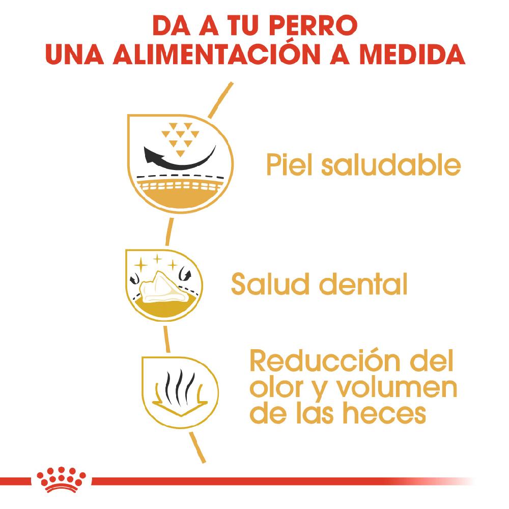 Miscota Royal Canin Cibo Secco per Cani Shih Tzu Adult Lightning offer