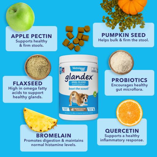 Miscota JTPharma Complemento per Cani Glandulex Offerte giornaliere