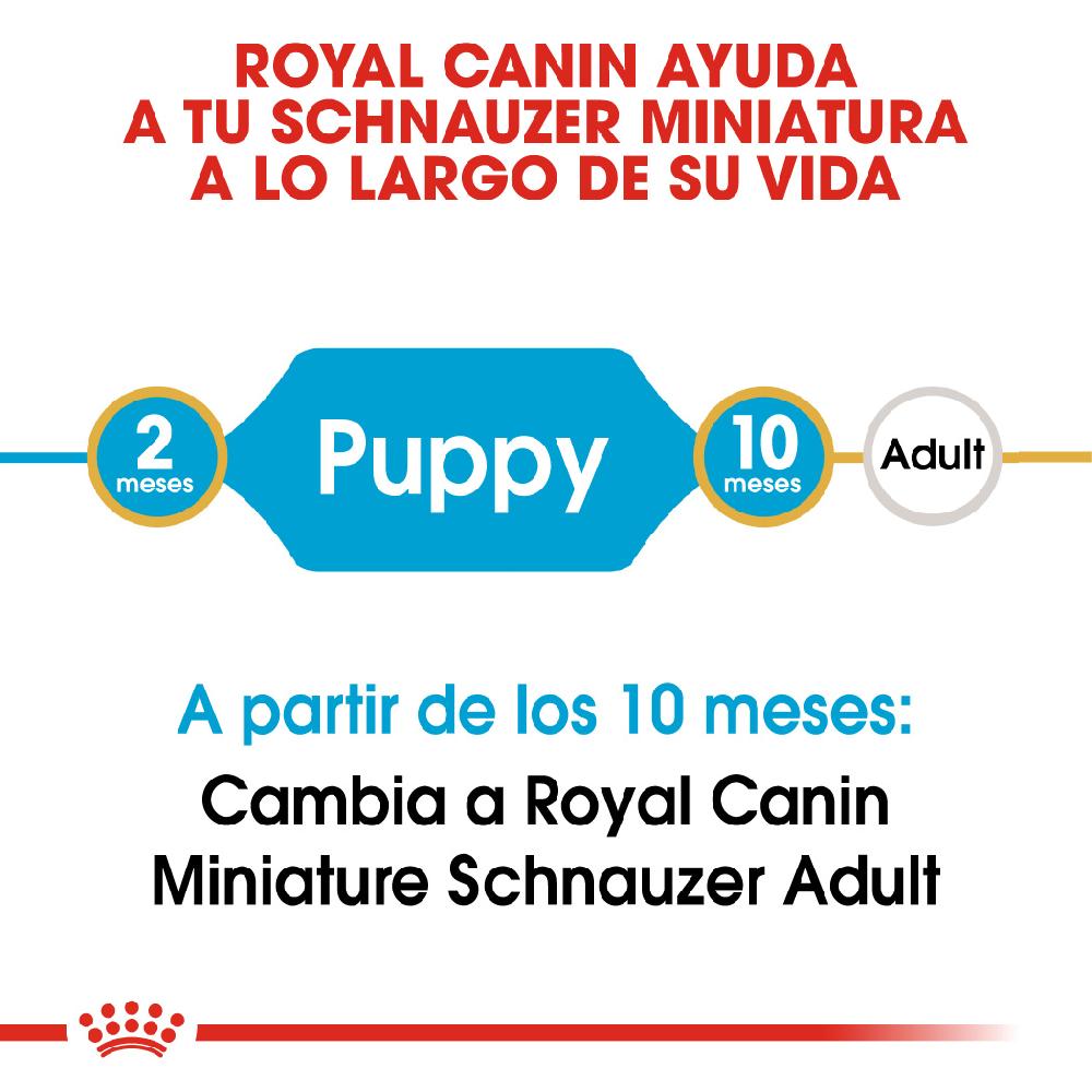 Miscota Royal Canin Cibo Secco per Cani Miniature Schnauzer Junior Offerta settimanale
