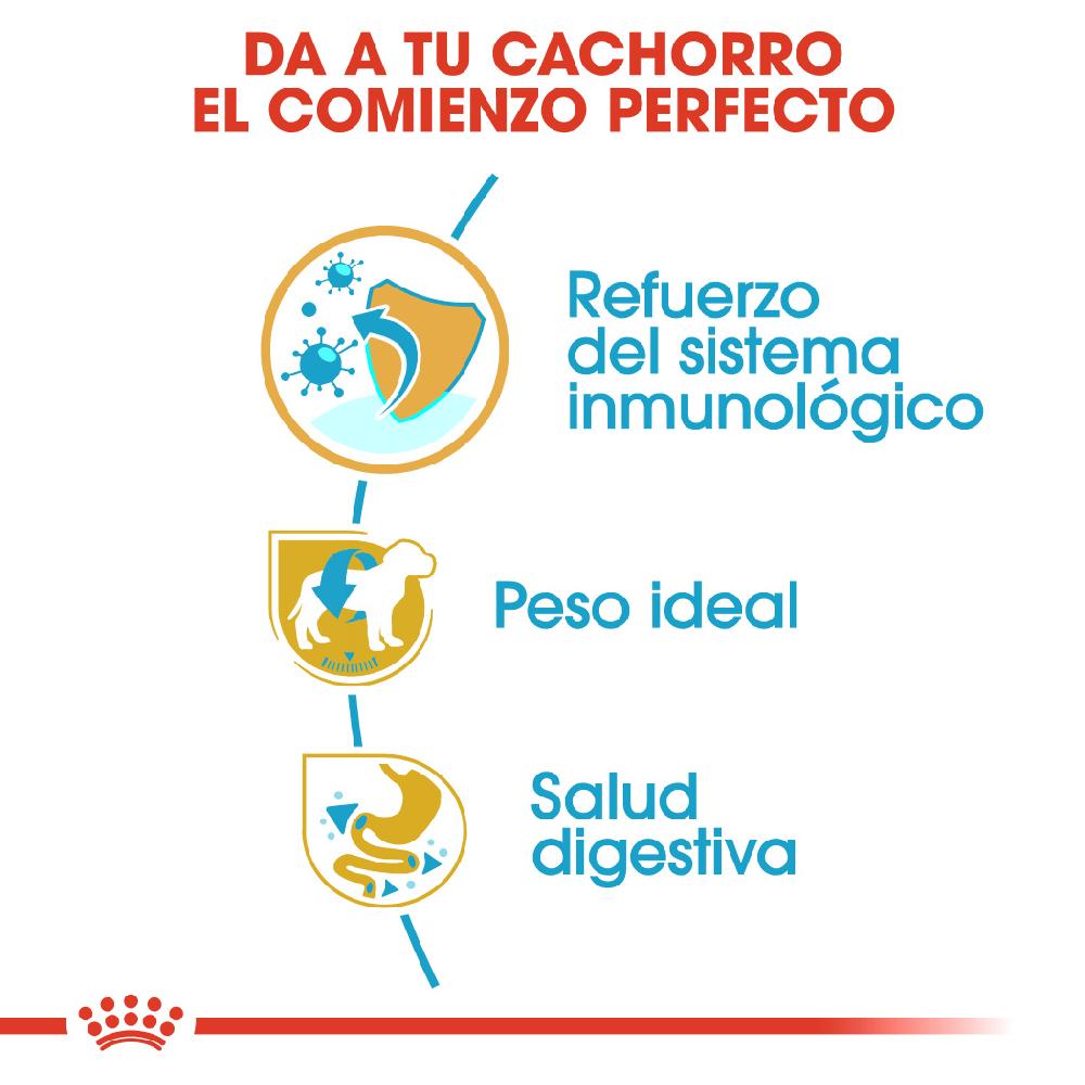 Miscota Royal Canin Cibo Secco per Cani Miniature Schnauzer Junior Offerta settimanale