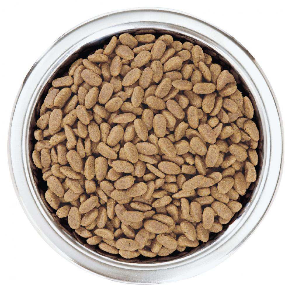 Miscota Purina Pro Plan Optiderma Adulti Salmone Small/Mini Fino al 50% di sconto