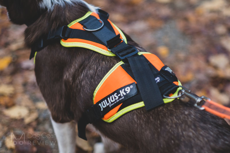 Miscota Julius K9 Pettorina Mantrailing arancione e neon per cani Prezzo Ridotto
